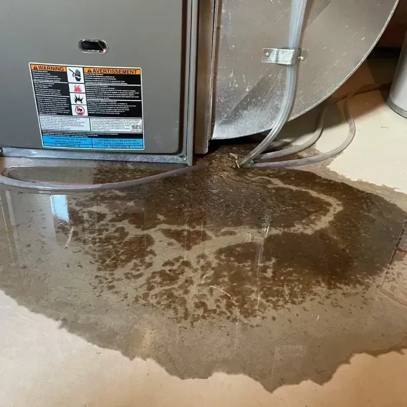 Appliance Leak Cleanup in Owingsville, KY